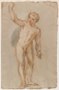 Standing Male Nude